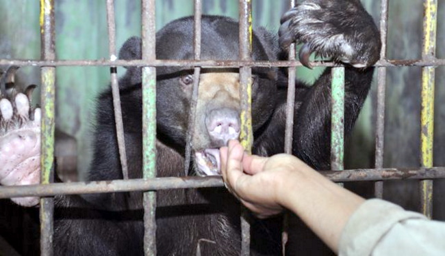 Lurah Ragunan Prihatin Kondisi Kebun Binatang Ragunan